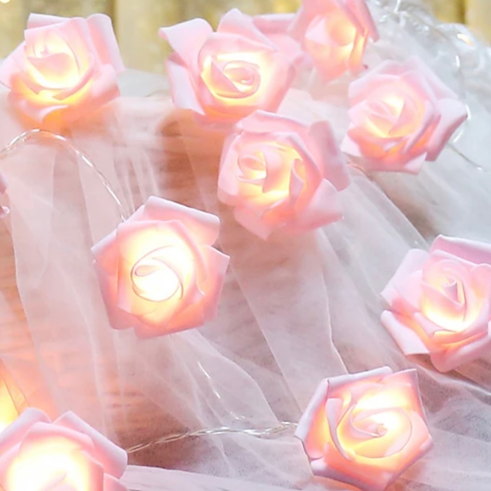 String Lights NWOT